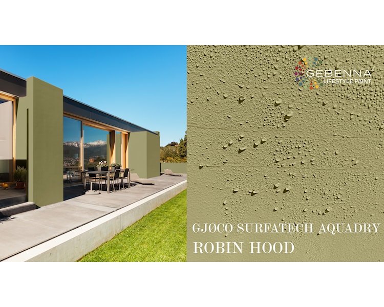 SURFATECH FARVEKORT robin hood